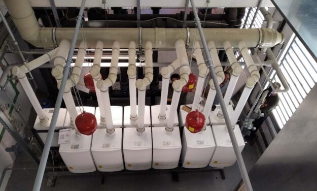 systoixia-leviton systoixia-leviton